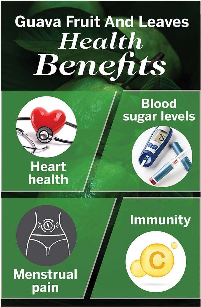 Health Benefits of Guava Fruit And Leaves 
