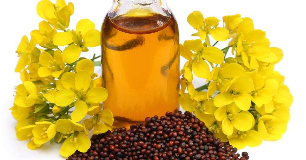 Benefits Of Mustard Oil For Hair 