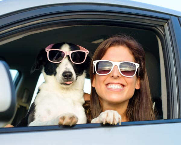 Things To Keep In Mind While Travelling With Your Pet | Femina.in