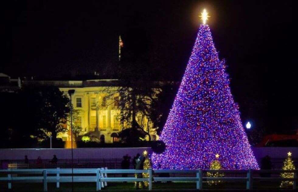 Washington National Christmas Tree
