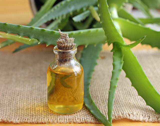 Aloe Vera and Tea Tree Oil Hair Mask to balance the pH level of the scalp