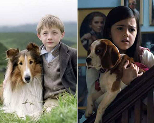 Lassie Come Home (2020) - IMDb