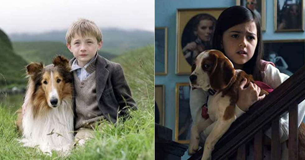 5 Movies To Watch If You Are A Dog Person | Femina.in