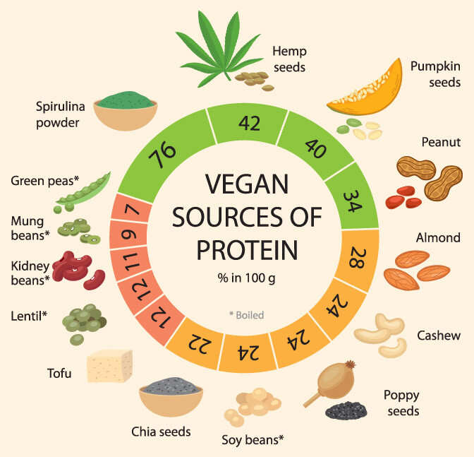 Proteins In Food Vegetarian