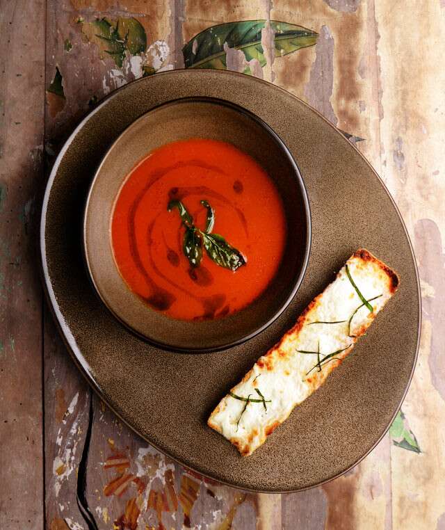  tomato soup