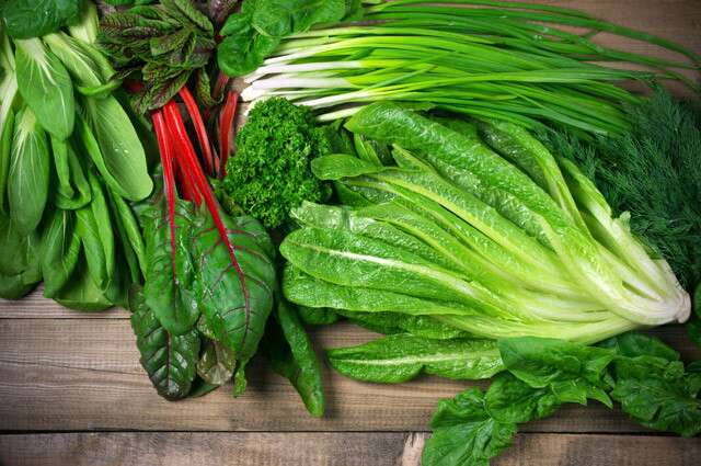 Leafy Vegetables is Common Sources Of Vitamin C And Folic