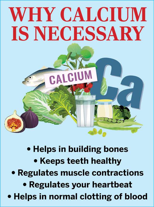 Why Calcium Is Necessary Infographic