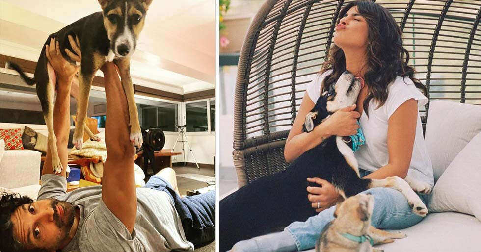 Furry Delight: Celebs Who Redefine The Idea Of Unconditional Love!