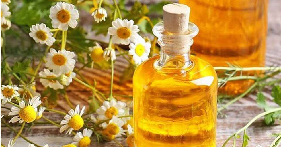 Top 6 Ways Chamomile Tea Benefits Your Overall Health Femina.in