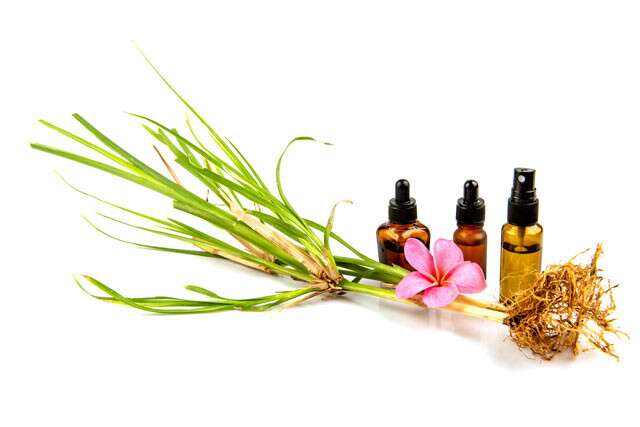 Vetiver or khus khus is known for its cooling properties