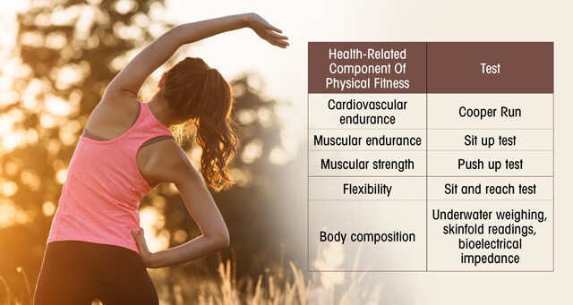 Fitness Testing: Cardio, Flexibility, Strength, Body Composition