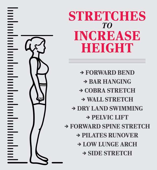 Stretching Exercise To Increase Height Infographic