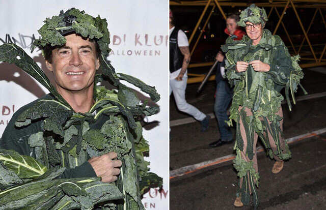 Fashion