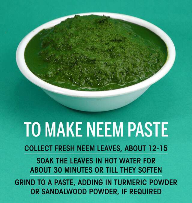 Benefits Of Neem Face Pack And DIY Remedies 