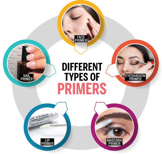 Different Types of Primers Infographic
