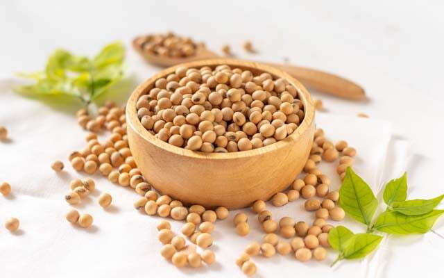 The Low-Down On High-Protein Vegan Foods | Femina.in