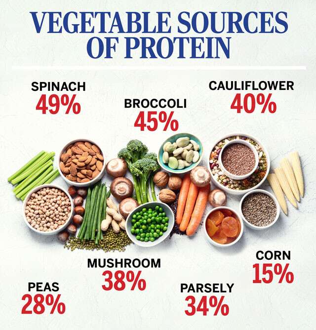 Vegetables And Fruits With Protein Encycloall