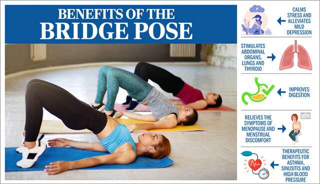 Yoga Asana: How to do Bridge pose or Setu Bandhasana and its benefits -  helps to lose belly fat | Health Tips and News