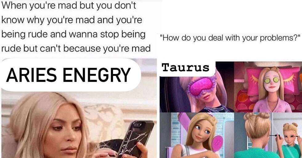 These Zodiac Memes Will Make You LOL With Their Accuracy 