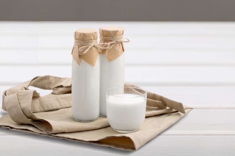 Milk Based Kefir is one of the best probiotic food for gut health.