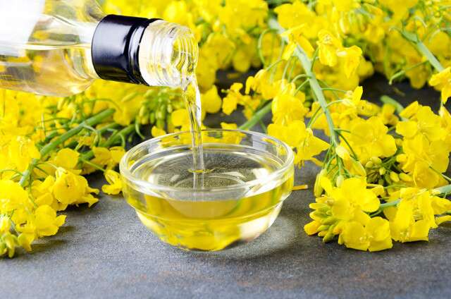 Canola Oil for Cooking