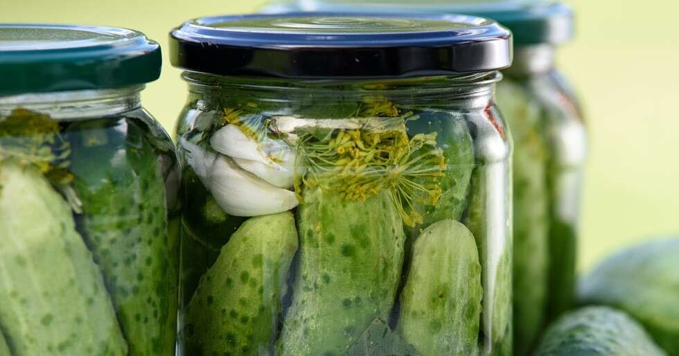 Pickles is one of the best probiotic food for gut health.