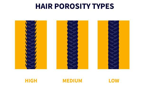 What Is Your Hair Porosity?