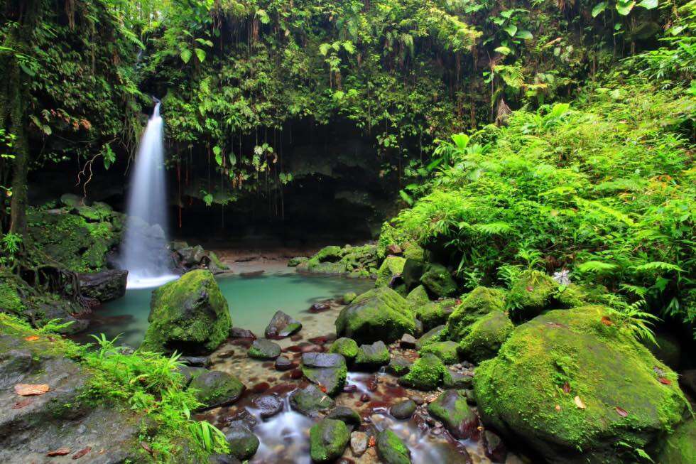 Dominica hidden beauty