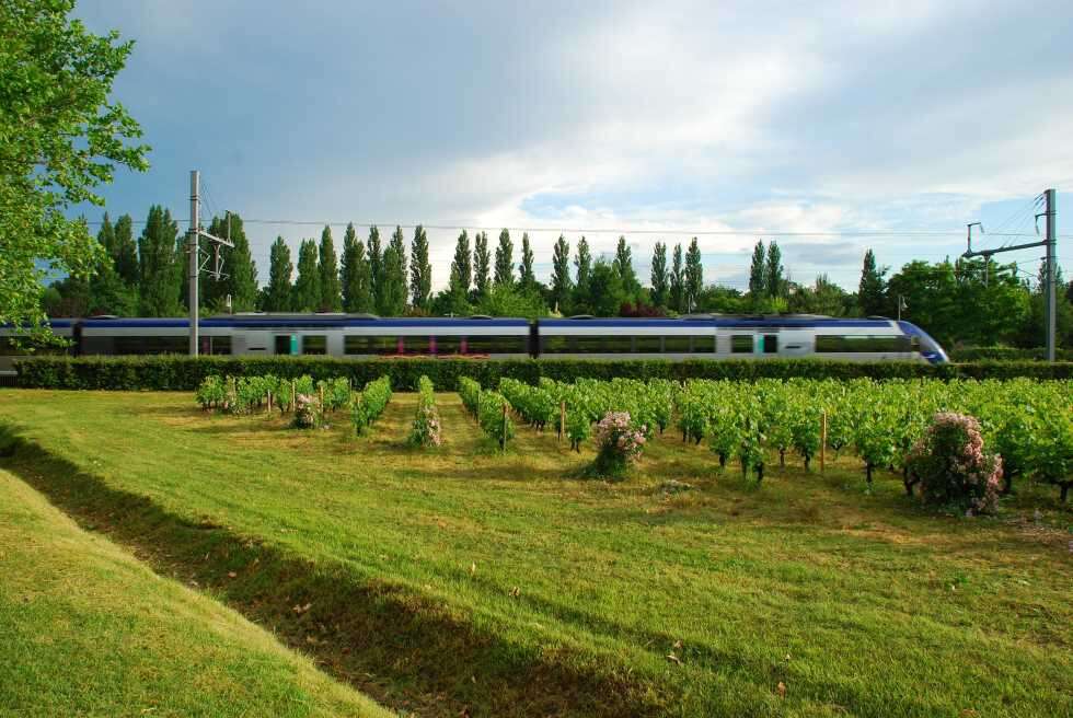 sm France flight ban TGV train