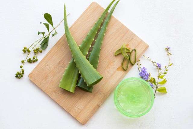 How To Make Hair Silky with Aloe Vera Mask.