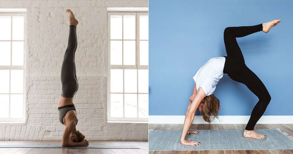 Female yogi in sirsasana posture. Young woman practices headstand yoga pose  on purple wall room with two big white windows on sides. Lady standing upside  down. Inversion, balance concepts Stock Photo |