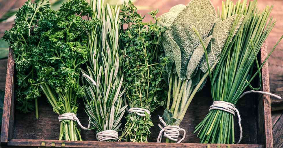 5 Herbs For A Healthy Heart