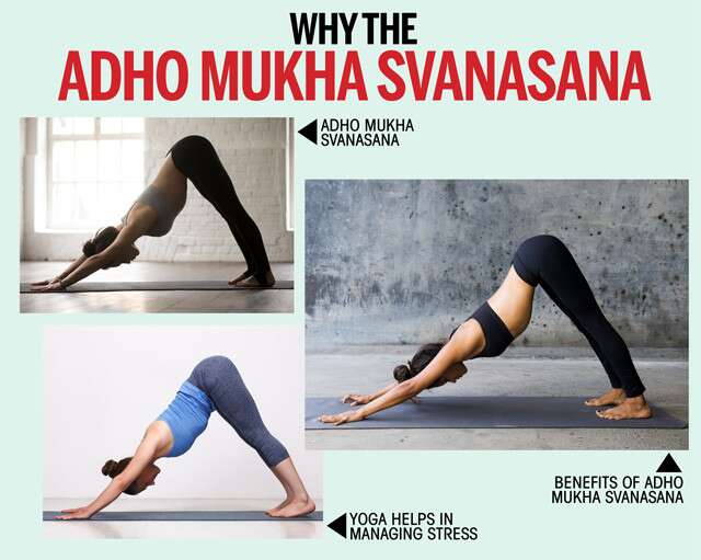 How to do Tri Pada Adho Mukha Svanasana (Three-Legged Downward Dog) –  OmStars