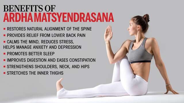 Yoga Ardha Matsyendrasana Half Spinal Twist Stock Photo 136179785 |  Shutterstock