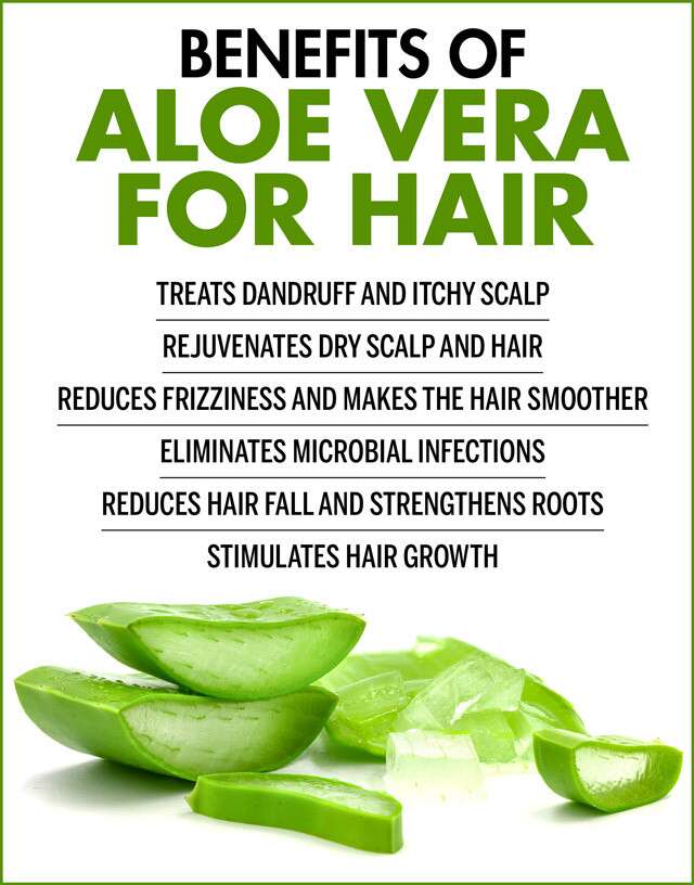 Hair Growth With Aloe Vera Remedies 