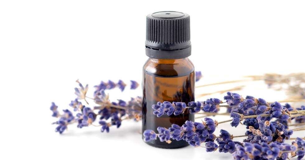 Best Ways To Make Lavender Essential Oil A Part Of Your Self-care Routine