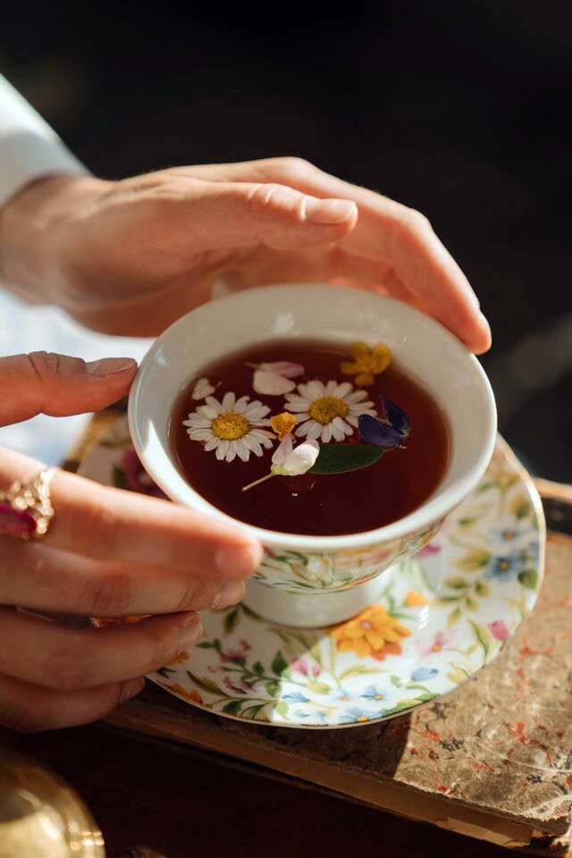Chamomile Tea For Throat Ulcer