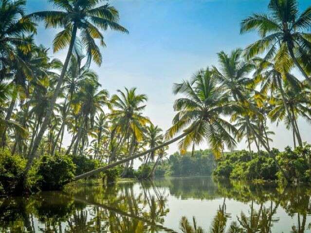 Offbeat Romantic Destinations - Poovar, Kerala