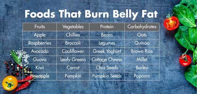 Foods That Burn Belly Fat Infographic