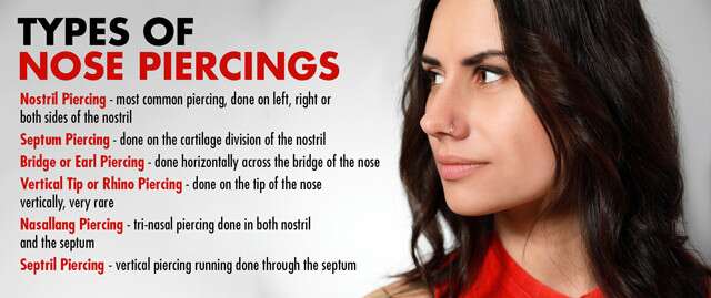 Types of Nose Piercings Infographic
