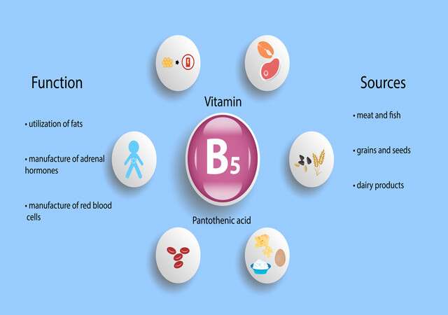 Benefits Of Vitamin B5