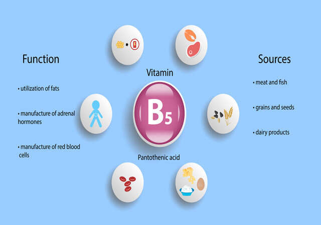 Pantothenic acid uses in the body Pantothenic acid uses in the body