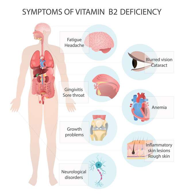 Vitamin B2 Signs Of Deficiency