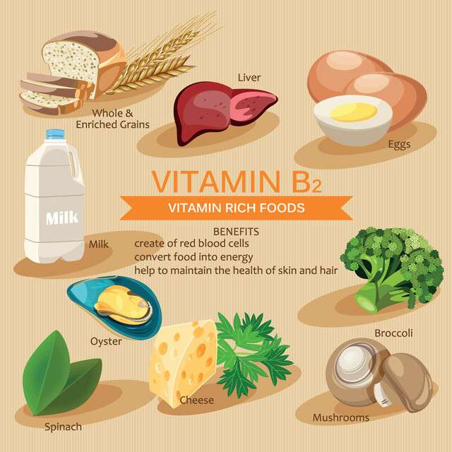 Vitamin B2 Nutrition Source Infographic