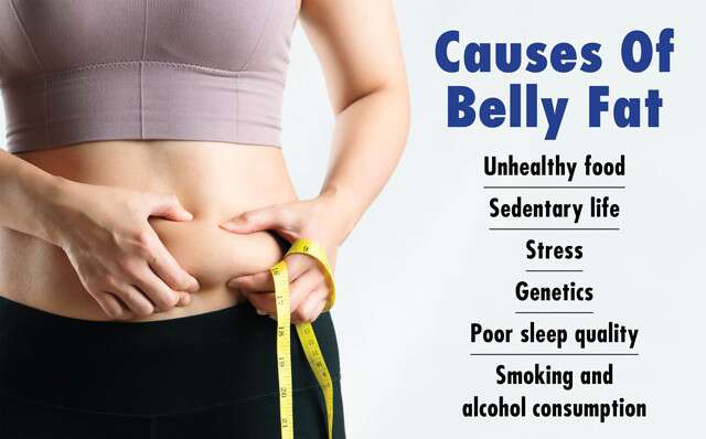 Causes Of Belly Fat Infographic