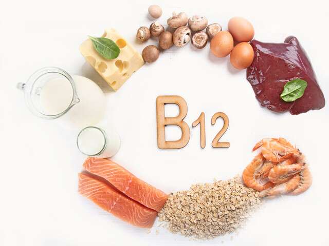 What Foods Have High Vitamin B 12?