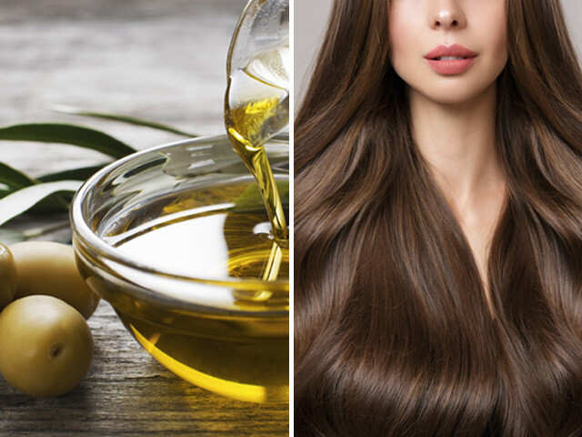 beneficial olive oil is for your hair  जनए जतन क तल आप क बल क लए  कतन फयदमद हत ह  Patrika News