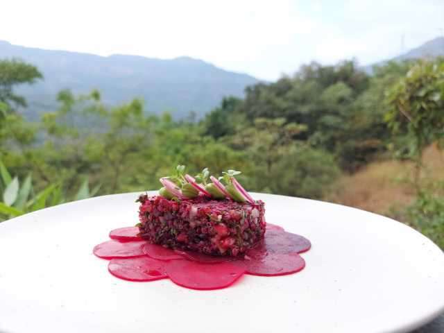 Healthy Snack - Quinoa and Beetroot Tartare