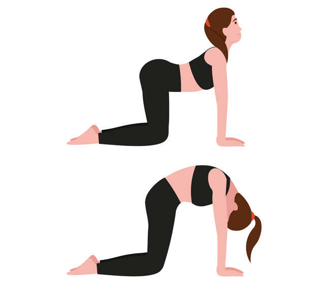 Cat Cow Pose With Leg To Side Yoga (Bitilasana Marjaryasana With