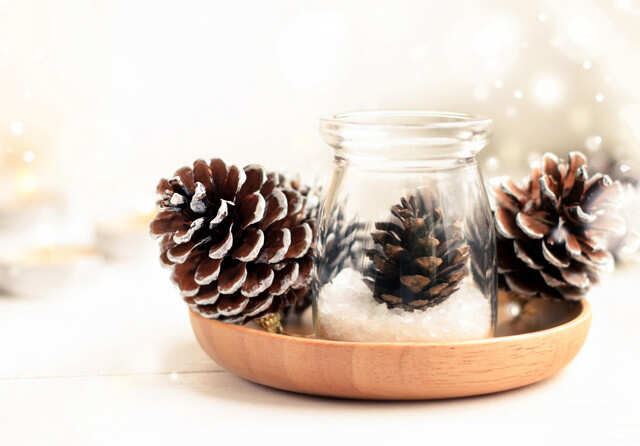 Timeless Beauty: Natural Pine Cones with String Loops for Year-Round  Display (6 Pcs) - 6 Pcs 